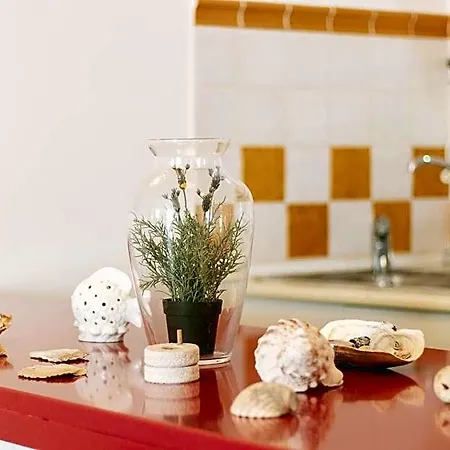 Casa De Casa Viana Hotel Tavira